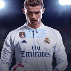 马伦盛赞与邓弗里斯默契无间，荷兰队团结氛围成欧洲杯关键助力