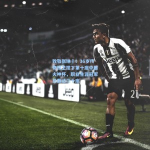 致敬张琳芃！36岁传奇铁卫揽下第十座中超火神杯，职业生涯冠军总数达二十座