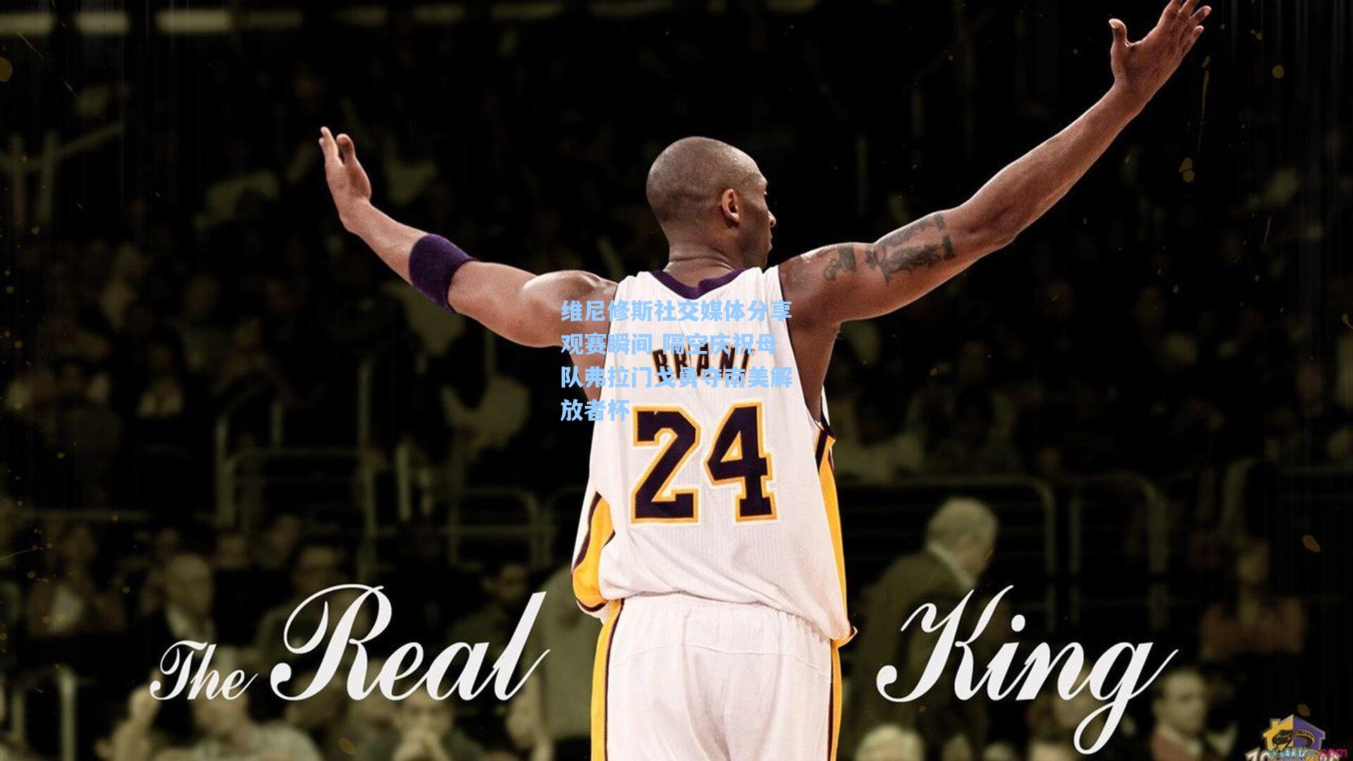 维尼修斯社交媒体分享观赛瞬间 隔空庆祝母队弗拉门戈勇夺南美解放者杯