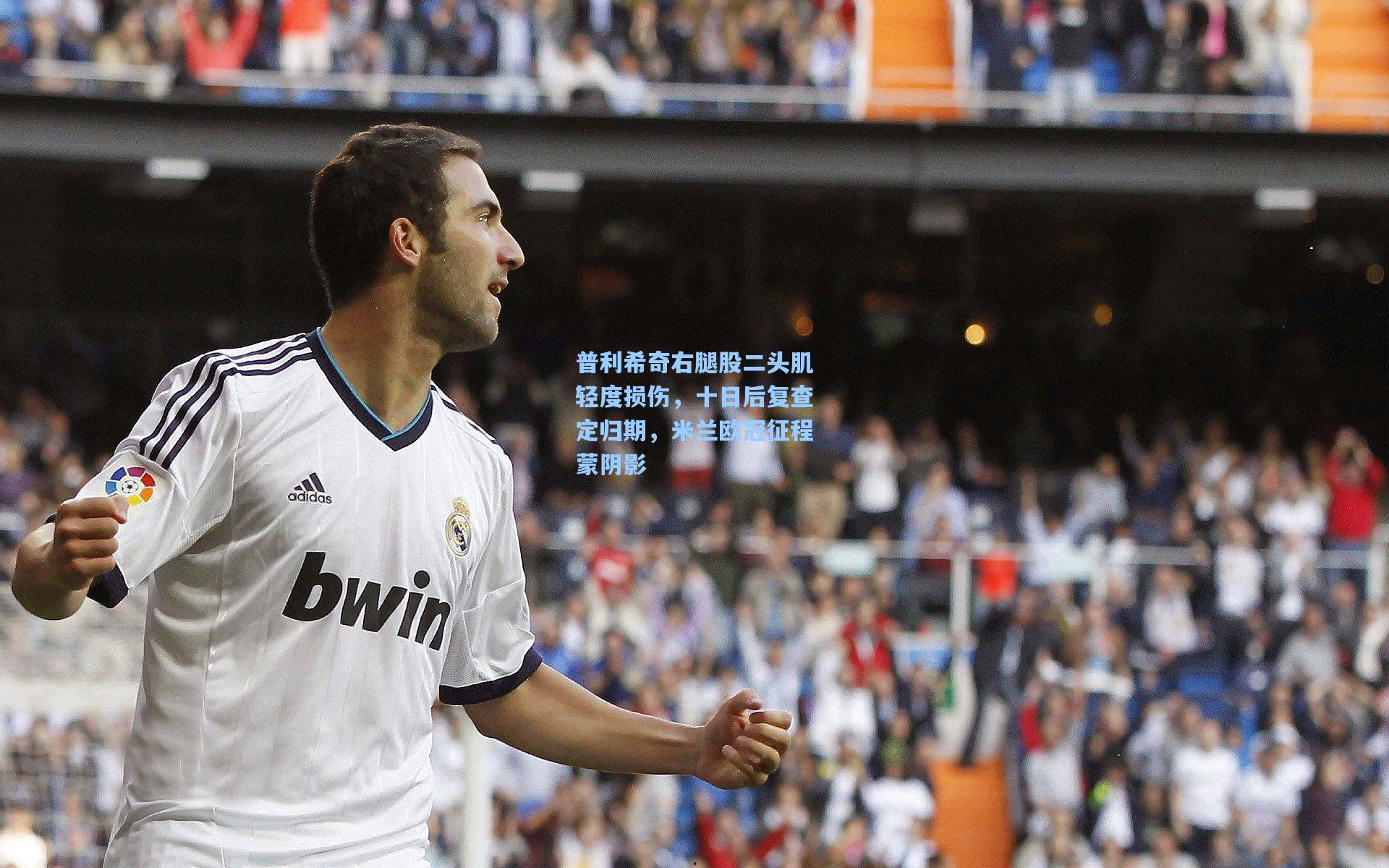 普利希奇右腿股二头肌轻度损伤,十日后复查定归期,米兰欧冠征程蒙阴影